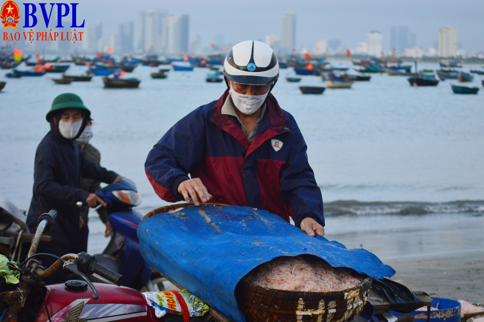 Đà Nẵng vào mùa ruốc biển