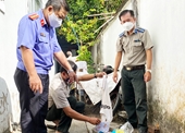 VKSND huyện Cai Lậy tham gia kiểm sát hoạt động tiêu hủy vật chứng