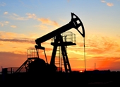 Mỹ và IEA giải phóng 60 triệu thùng dầu dự trữ chiến lược mong ghìm cơn sốt giá nhiên liệu phi mã