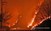 Cháy rừng dữ dội gần nhà máy điện hạt nhân của Hàn Quốc, 6 000 người tháo chạy khỏi nơi ở
