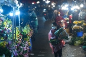 Giá hoa rẻ bèo , chợ hoa vắng khách trước ngày 8 3