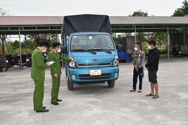 Lái cả xe tải đi trộm  trâu