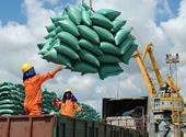 Tháng 3 Tổng giá trị xuất nhập khẩu của Việt Nam tăng mạnh