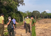 Hơn 5 000 m2 rừng quốc gia ở Phú Quốc bị tàn phá