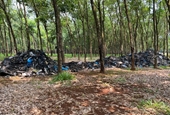 Phát hiện 20 tấn rác thải công nghiệp bốc mùi hôi thối trong vườn cao su