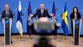 Phần Lan và Thụy Điển ráo riết thảo luận việc có nên gia nhập NATO