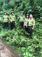 Thái Nguyên Chú trọng công tác quản lý bảo vệ rừng