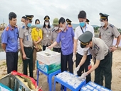 VKSND tỉnh Quảng Ninh Kiểm sát việc tiêu hủy 72 bánh heroin tang vật