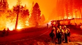 Đám cháy rừng lớn nhất nước Mỹ hoành hành ở New Mexico, 5 000 người được lệnh sơ tán