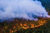 Cháy rừng hoành hành khắp Siberi, 16 người chết