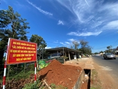 Sẽ cưỡng chế 64 công trình trái phép “mọc” trên đất nông nghiệp ở Đắk Lắk