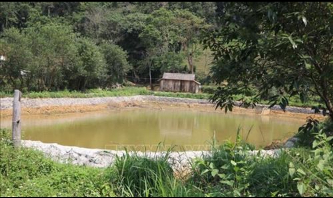 Giết chồng giấu xác, 4 tháng sau mới ra đầu thú