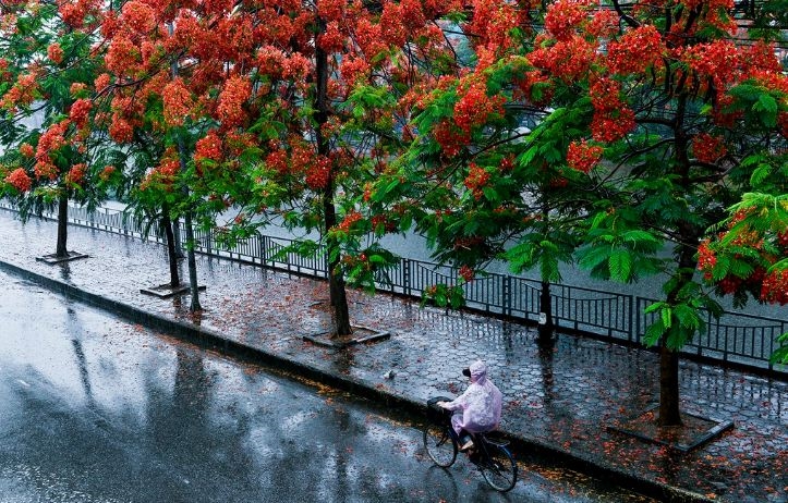 Miền Bắc mưa dông, nguy cơ lốc sét, gió giật mạnh