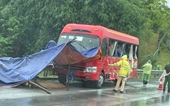 Hai xe khách đâm nhau trên cao tốc Nội Bài - Lào Cai , 7 người thương vong
