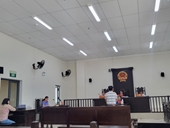 VKSND quận Hải Châu phối hợp với tòa án xét xử vụ án hủy hoại tài sản