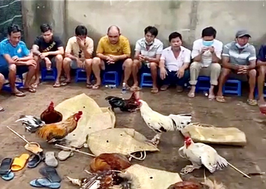 Cảnh sát vây bắt tụ điểm đá gà, thu giữ hơn 300 triệu đồng