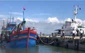 Bà Rịa – Vũng Tàu Phát hiện tàu cá chở 85 000 lít dầu DO không rõ nguồn gốc