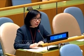 Việt Nam ủng hộ nỗ lực của Liên hợp quốc nhằm cải thiện an toàn đường bộ