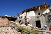 Động đất liên tiếp rung chuyển miền nam Iran, gần 50 người thương vong