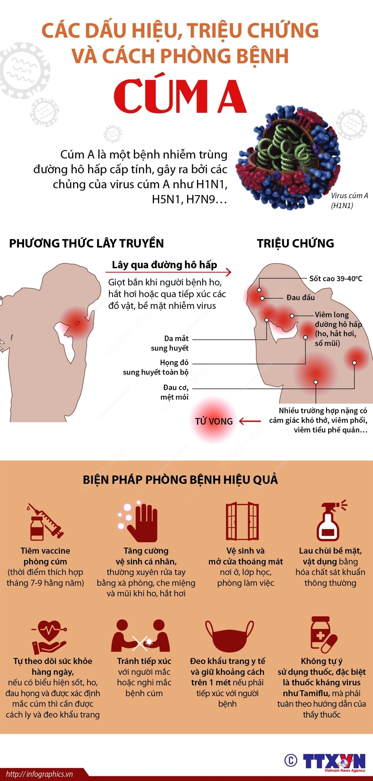 ảnh slide