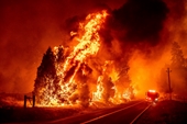 Cháy rừng dữ dội ở miền Tây nước Mỹ, 6 000 người sơ tán khẩn cấp, hàng ngàn nhà cửa bị uy hiếp