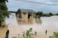 50 ngôi nhà bị ngập, 1000 ha cây trồng bị thiệt hại do mưa lớn ở Đắk Lắk