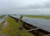 Đắk Lắk Mưa lũ khiến một huyện thiệt hại 69 tỉ đồng