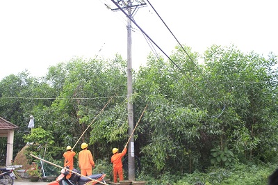 Dùng liềm hái chôm chôm nam sinh lớp 7 bị điện giật tử vong