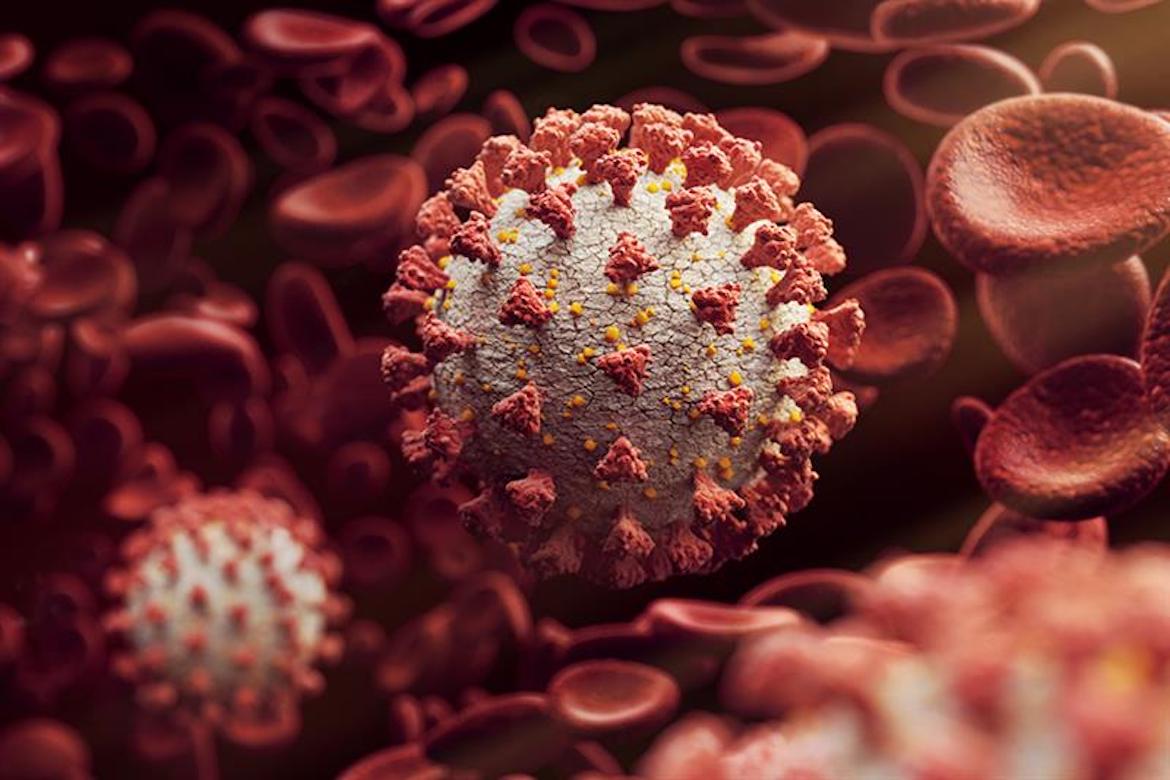 Biến thể phụ BA 2 74 của Omicron lây lan nhanh đã xuất hiện ở Việt Nam