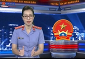 Chương trình Truyền hình KSND trên kênh Vnews Ngành kiểm sát nâng cao hiệu quả công tác đấu tranh phòng, chống tội phạm tham nhũng, kinh tế