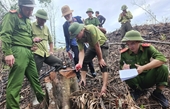 Kiểm sát khám nghiệm hiện trường vụ rừng nguyên sinh bị chặt phá ở Hà Tĩnh