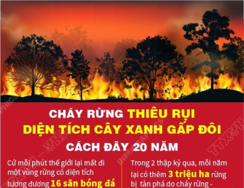 Cháy rừng thiêu rụi diện tích cây xanh gấp đôi cách đây 20 năm