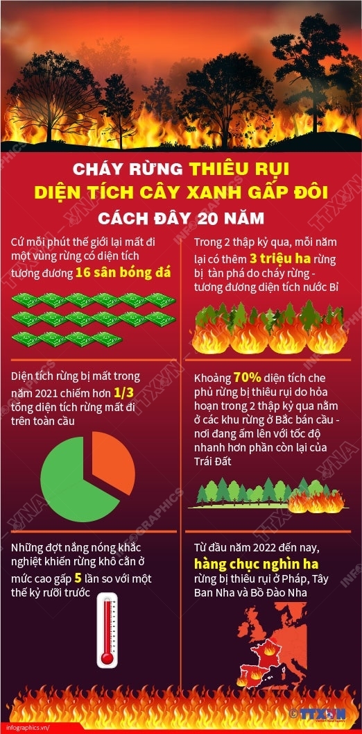 ảnh slide