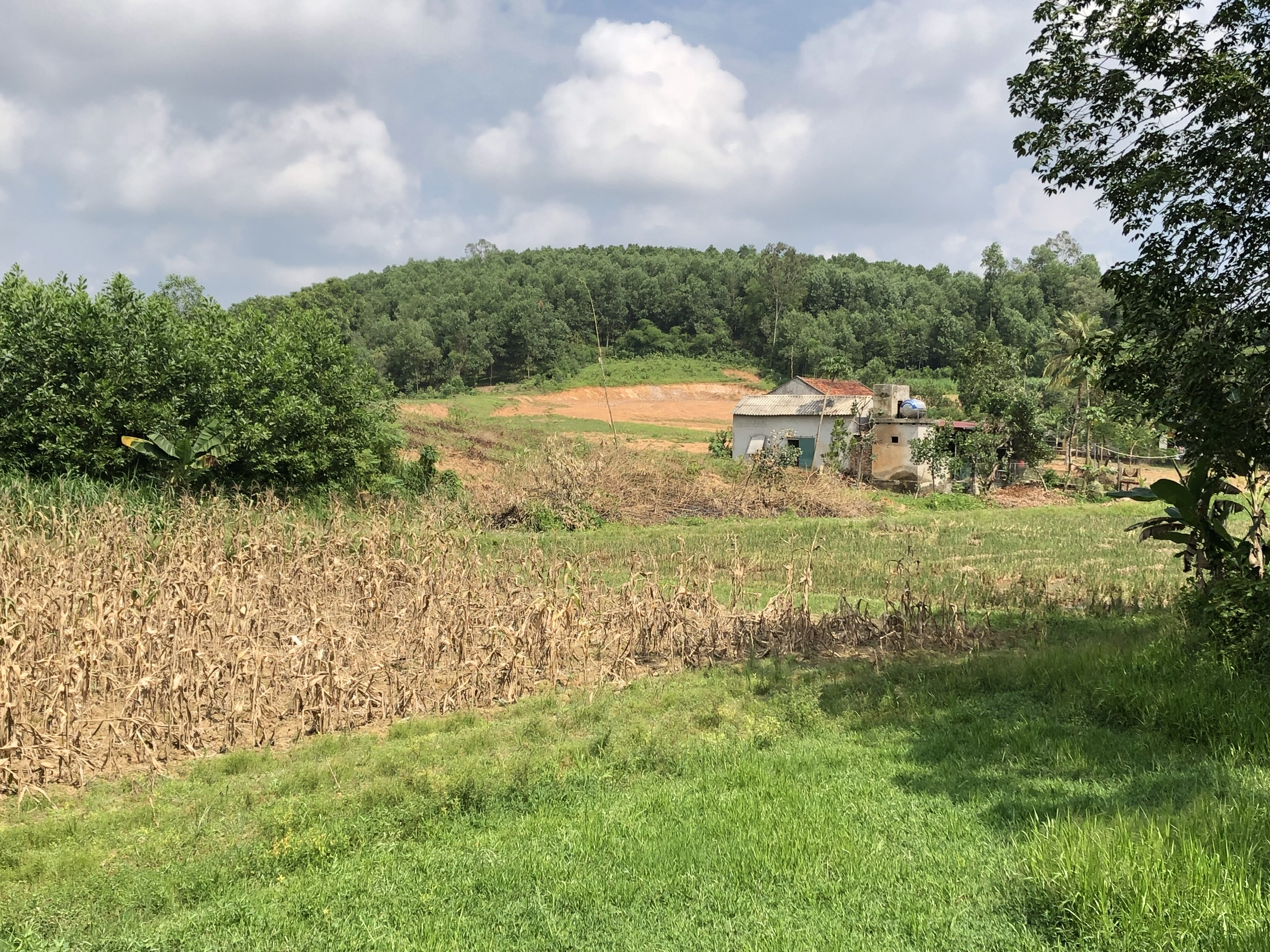 Trưởng thôn “ăn” gần 5 tấn gạo cấp cho các hộ dân tộc thiểu số