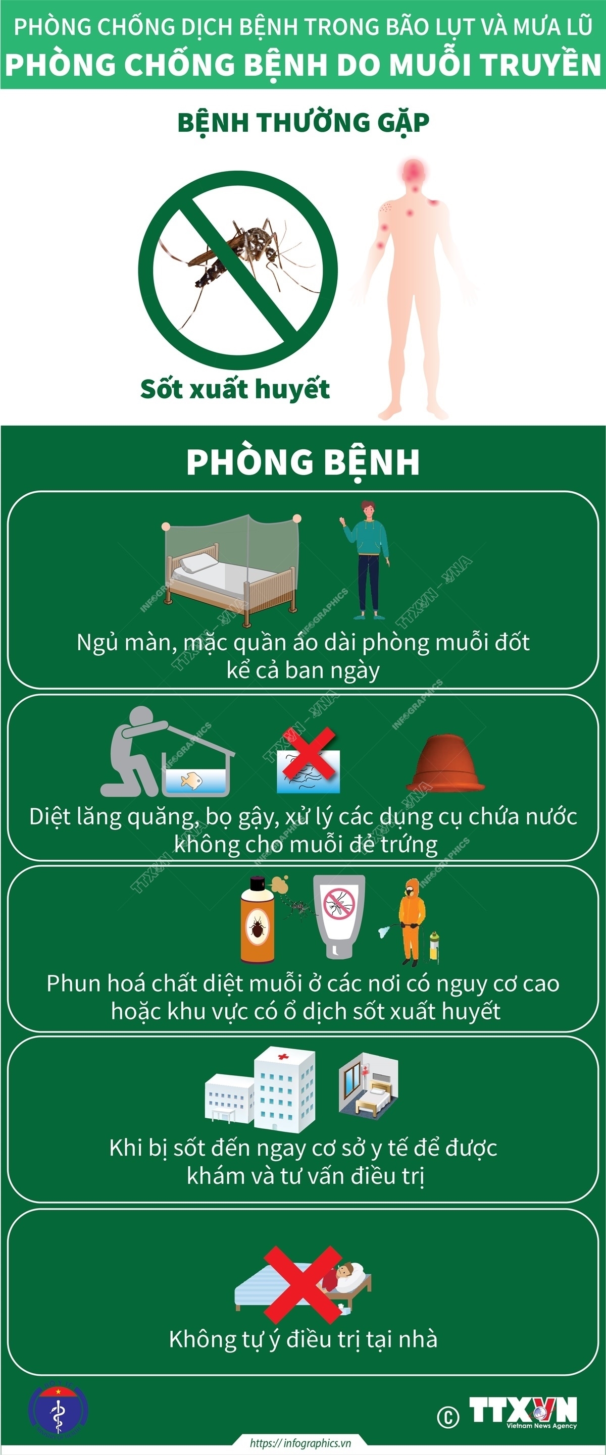 ảnh slide