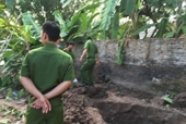 Hé lộ nguyên nhân vụ con trai chôn thi thể mẹ già 95 tuổi trong vườn nhà