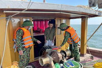 Liên tiếp phát hiện tàu cá vi phạm các quy định trong khai thác hải sản