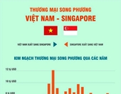 Thương mại song phương Việt Nam - Singapore