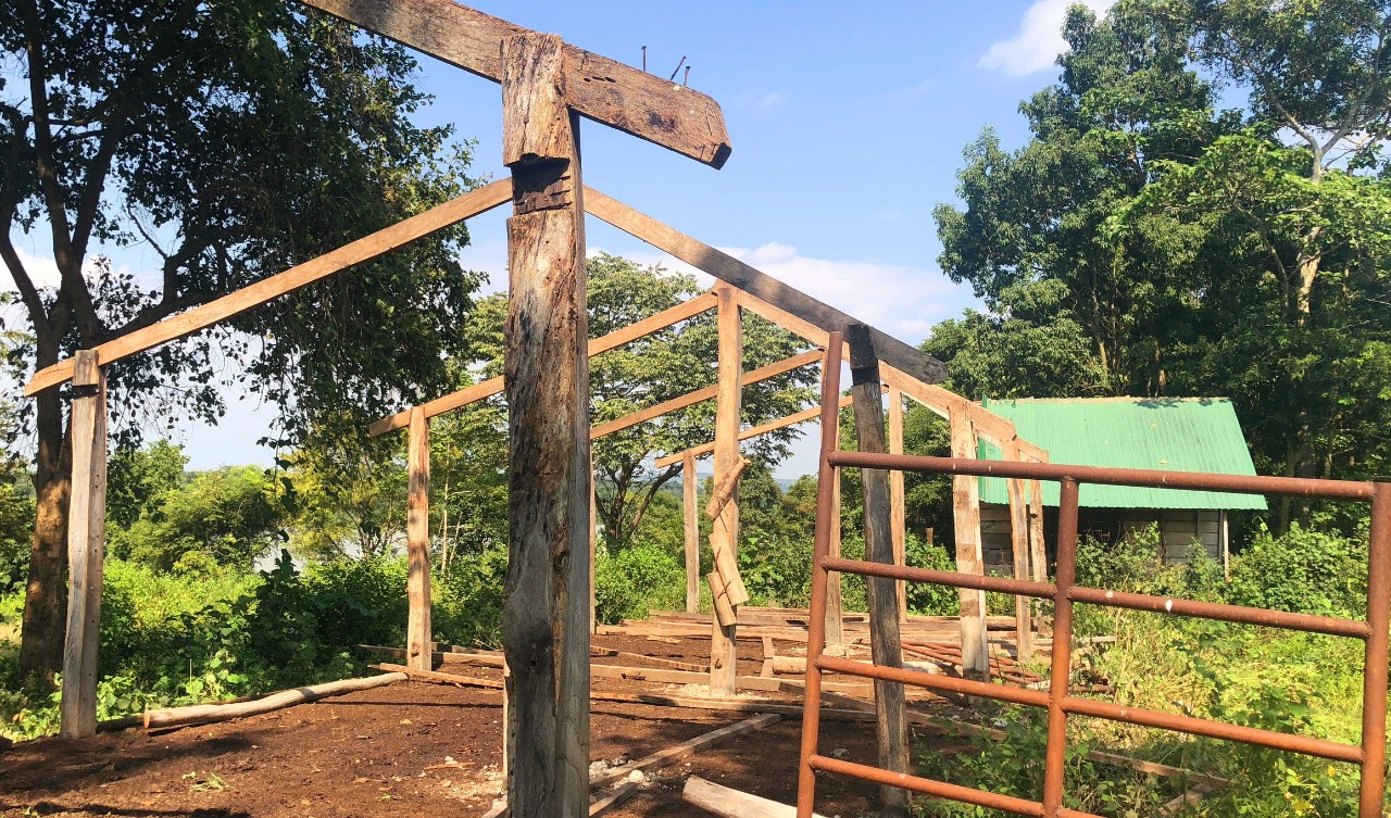 Nguyên Bí thư Tỉnh ủy Đắk Lắk di dời trang trại bò ra khỏi khu bảo tồn thiên nhiên Ea Sô