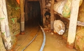 Phương án đánh sập các hầm đào vàng trái phép trên đất rừng ở Đắk Nông