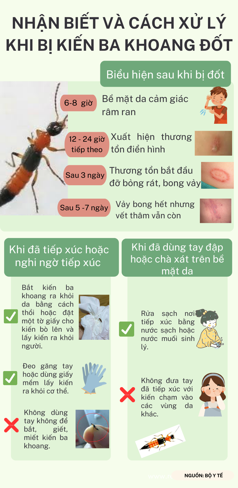 ảnh slide