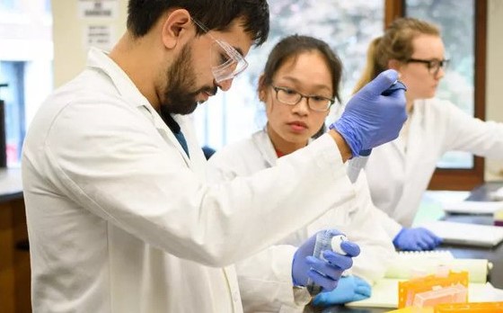 Lợi dụng việc đi học, nghiên cứu khoa học ở lại nước ngoài trái pháp luật bị phạt đến 60 triệu đồng