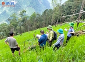VKSND huyện Tủa Chùa Góp phần bảo vệ màu xanh của đại ngàn
