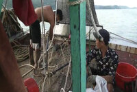 Xử lý thêm 5 tàu cá vi phạm trên vùng biển Móng Cái