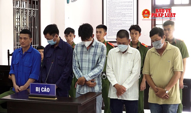 Nhóm cò lúa lừa đảo chiếm đoạt tài sản lĩnh án 45 năm tù