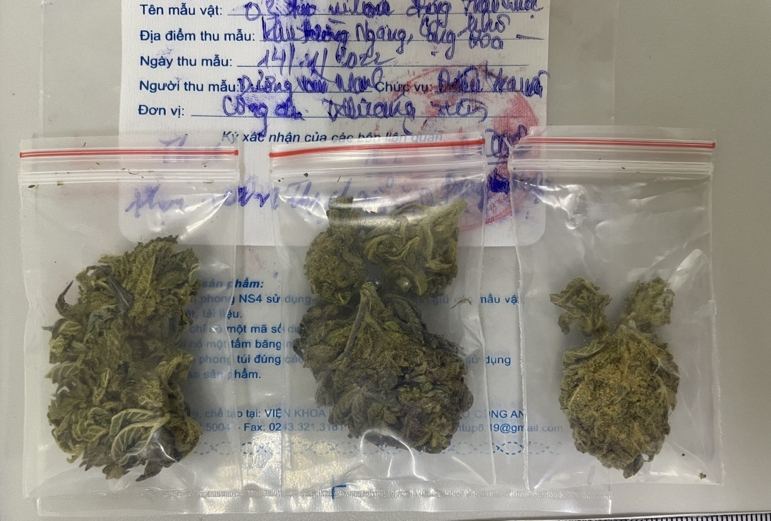 Tạm giữ hình sự 2 đối tượng mua bán thảo mộc khô