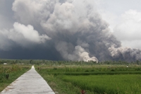 Núi lửa ở Đông đảo Java, Indonesia phun trào giữa đêm, 2 000 sơ tán khẩn cấp