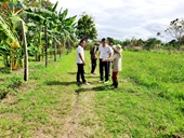 Nhiều người dân ở Đắk Nông hiến đất sản xuất tiền tỉ để làm đường vành đai