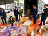 Thu giữ nửa tấn thực phẩm bốc mùi ở Thanh Hoá