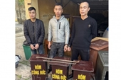 Bắt 3 đối tượng từ Nam Định sang Thái Bình trộm cắp tài sản tại các đình, chùa